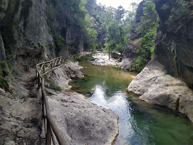 Ruta Rio Borosa en la Sierra de Cazorla Ruta Rio Borosa en la Sierra de Cazorla